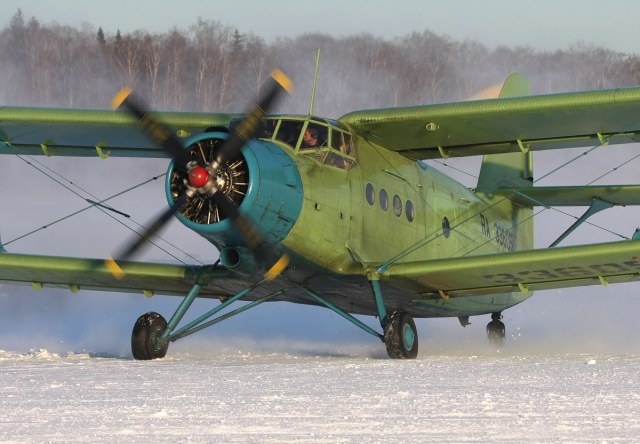 Antonov An-2 (45).JPG